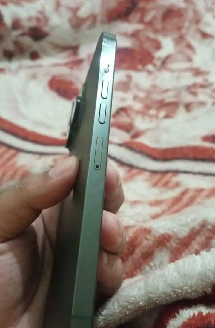 Apple iPhone 13 Pro Max 1