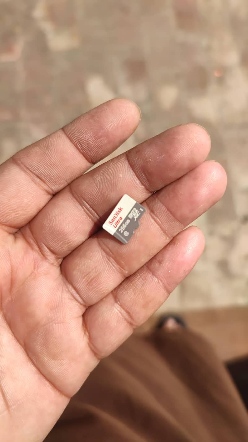 256 gb SD card 0
