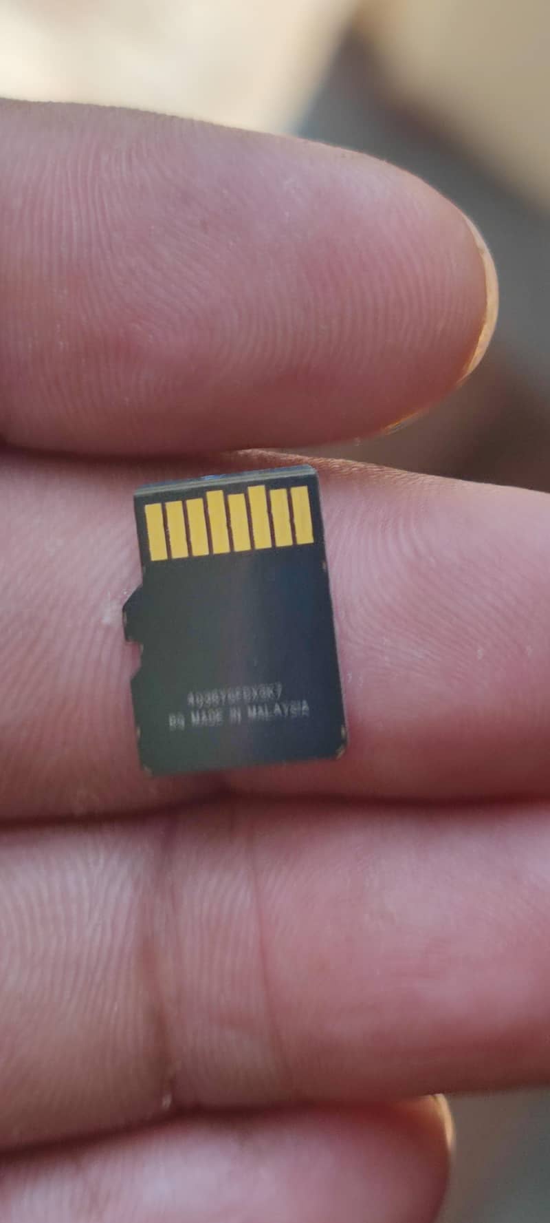 256 gb SD card 1
