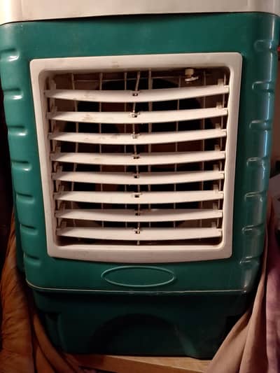 Color Fan For Sale