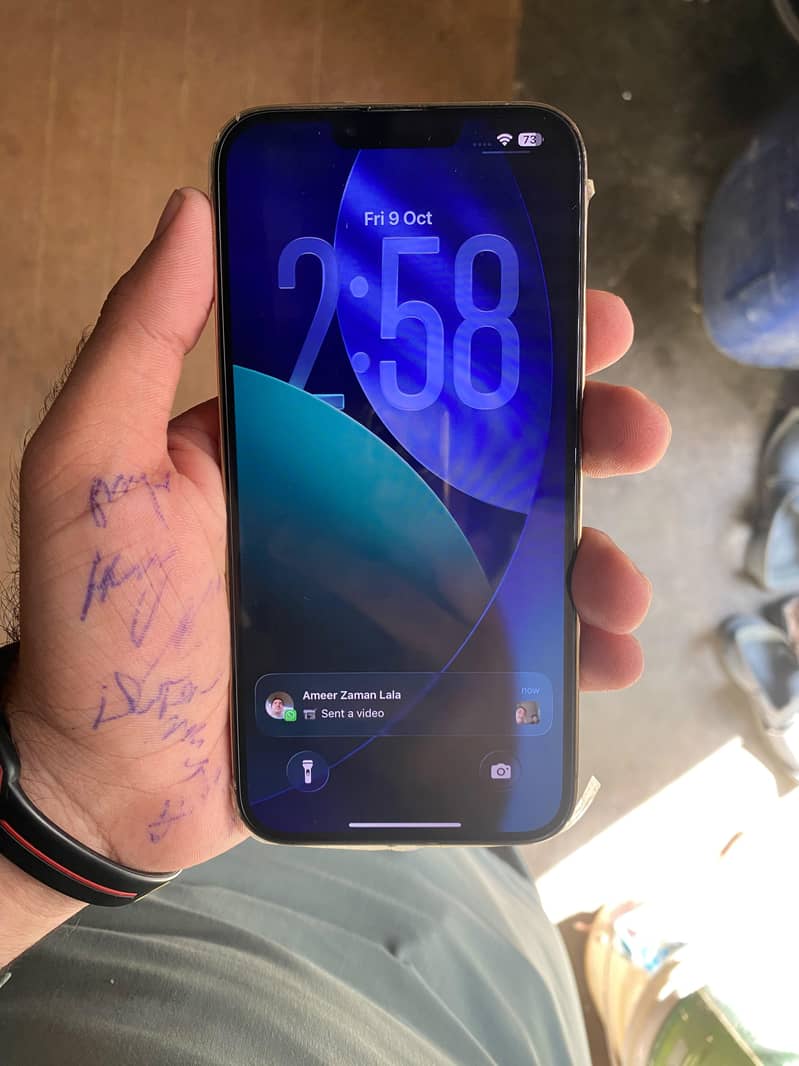 Apple iPhone 13 Pro Max 6