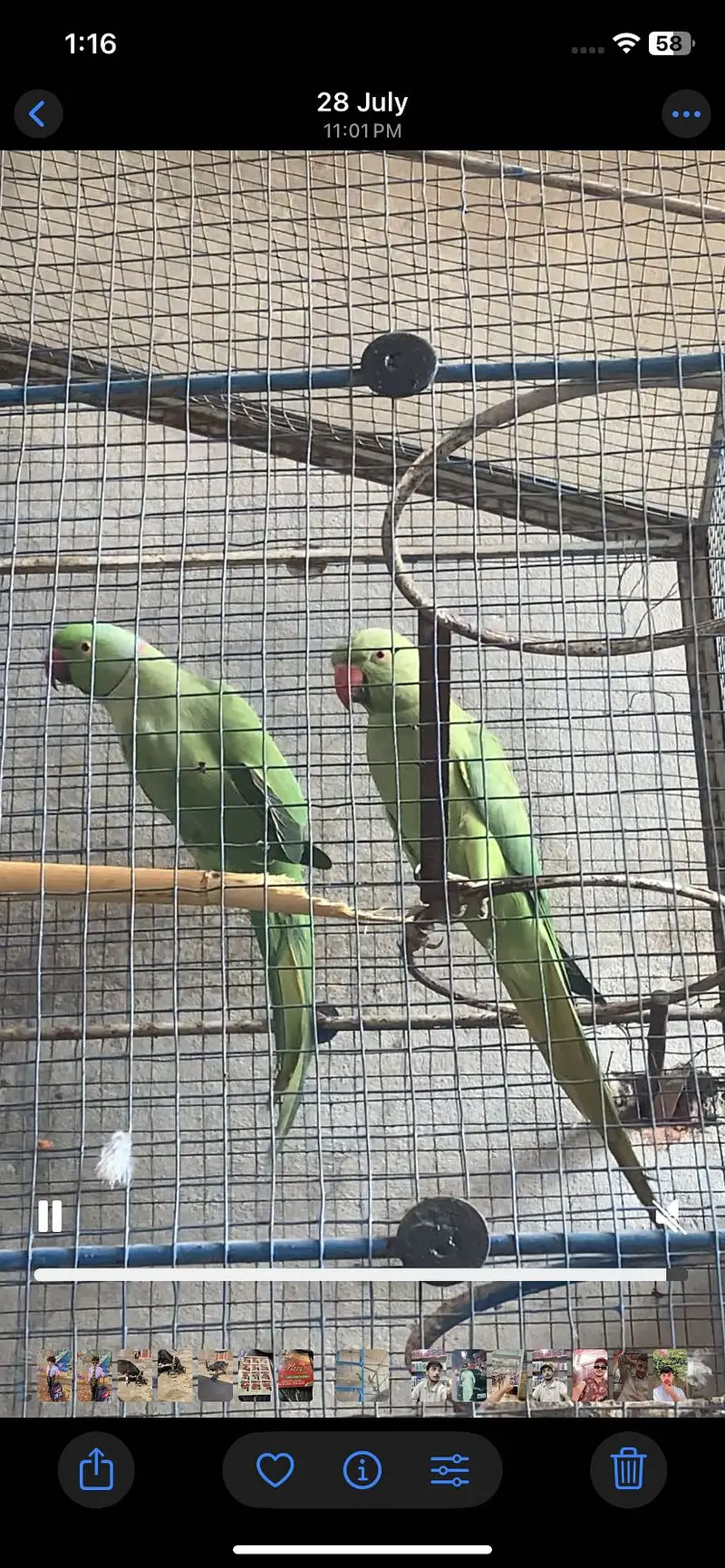 Birder — photo 2