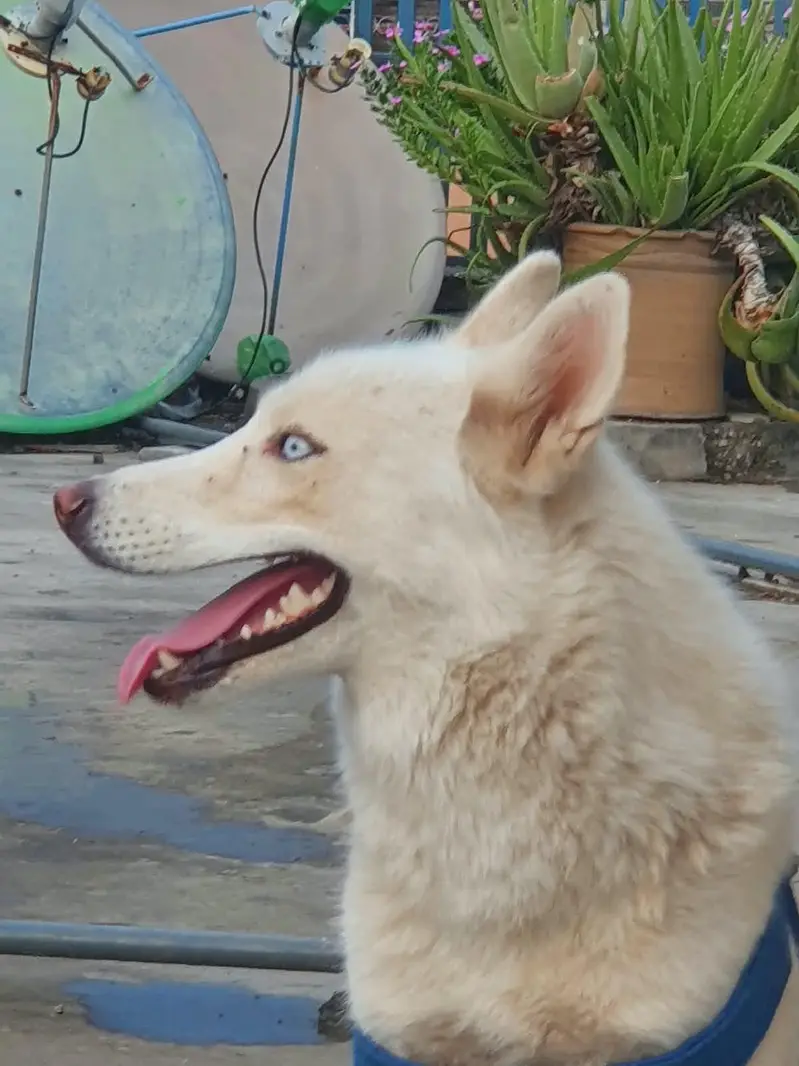 urgent sale — photo 2
