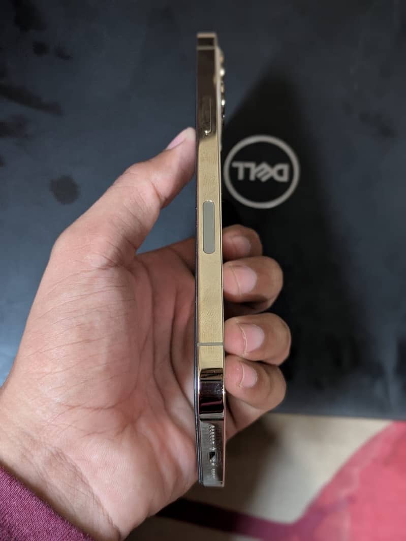 Apple iPhone 12 Pro Max 8