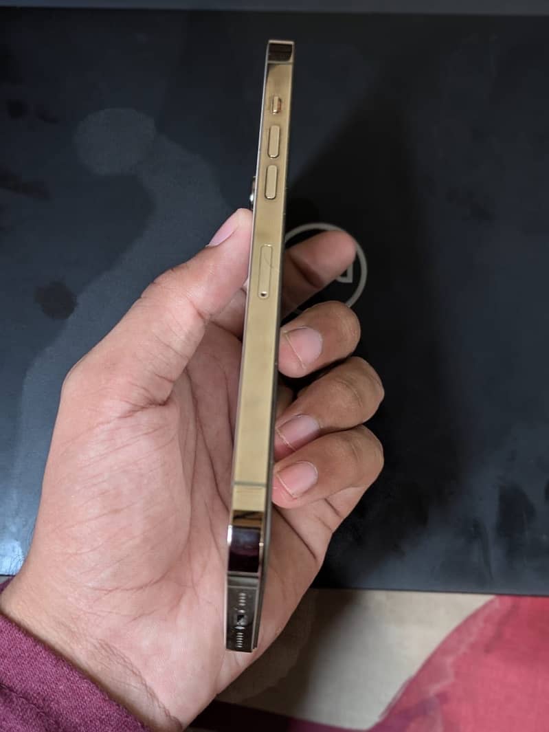 Apple iPhone 12 Pro Max 9