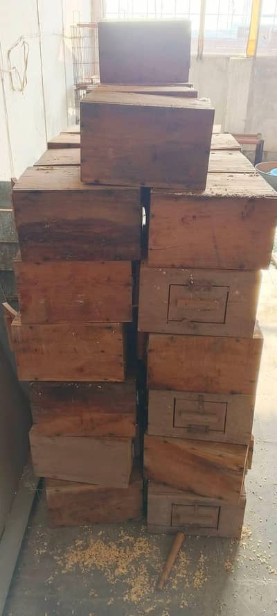 cocktail box and love bird box