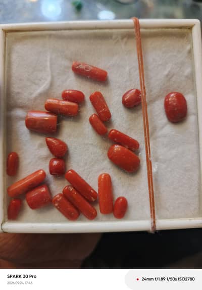 red coral available 3000per carat 100percent natural sea Italian coral