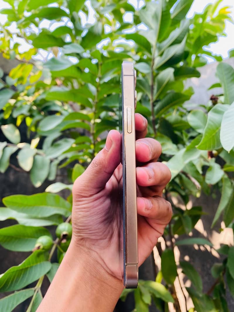 Apple iPhone 12 Pro 2