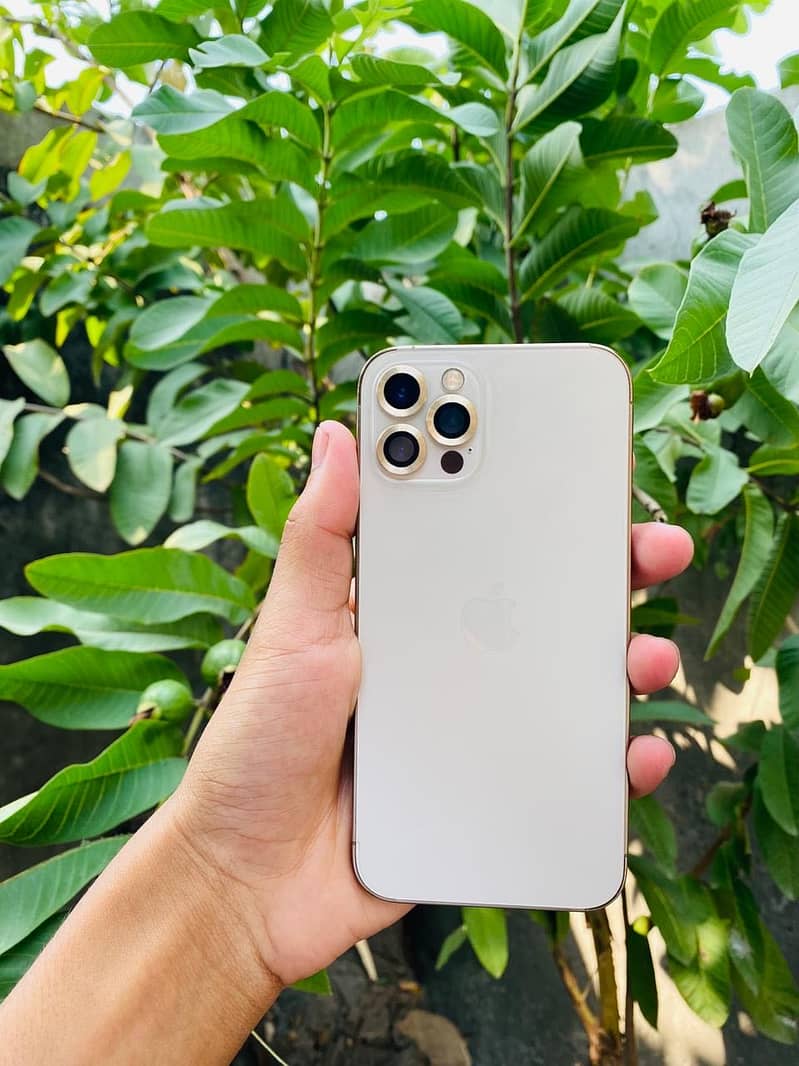 Apple iPhone 12 Pro 3