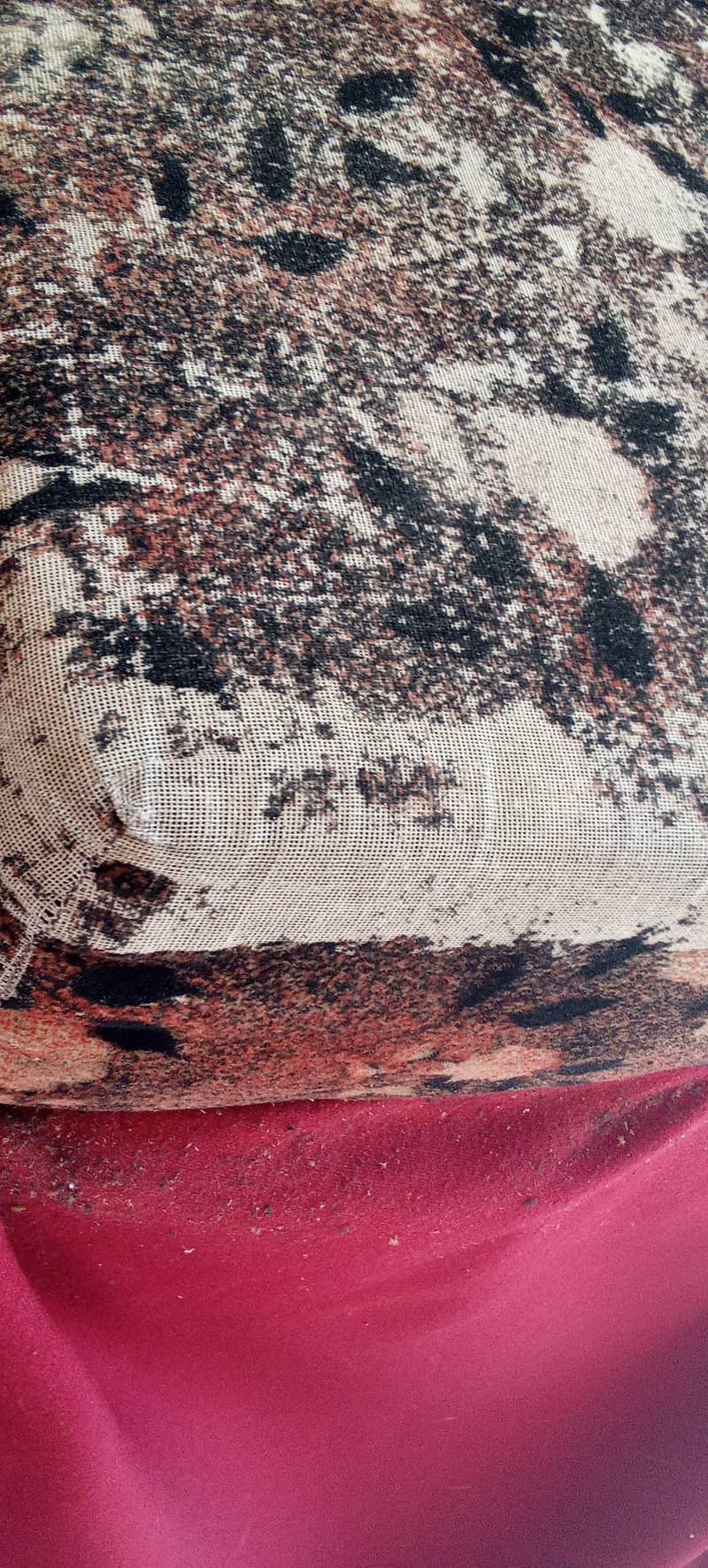 5 seater sofa set 3