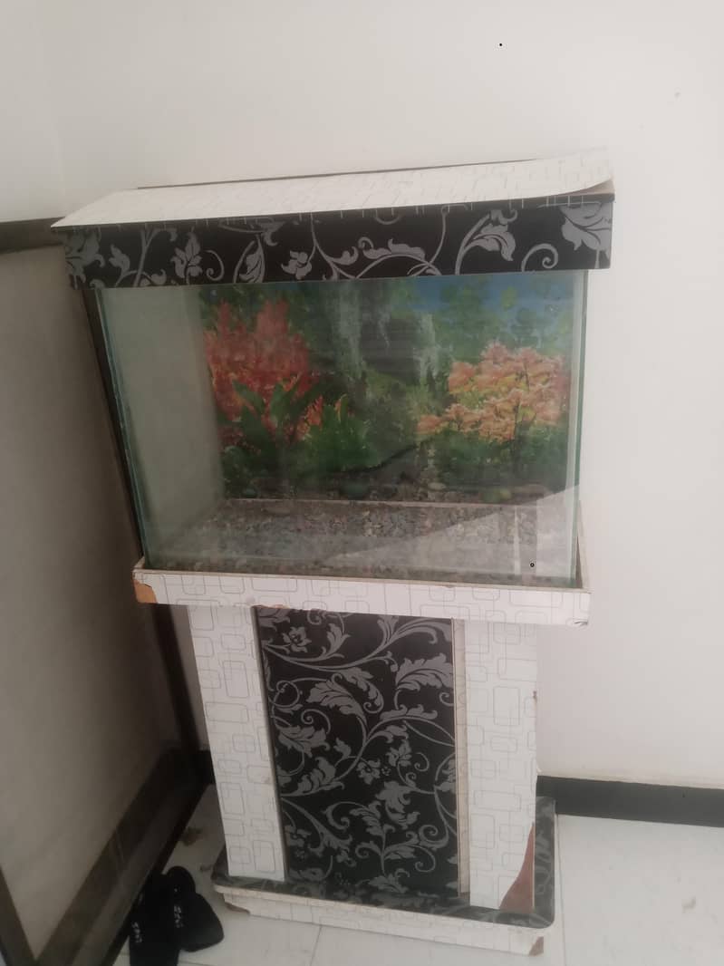fish Koream 1