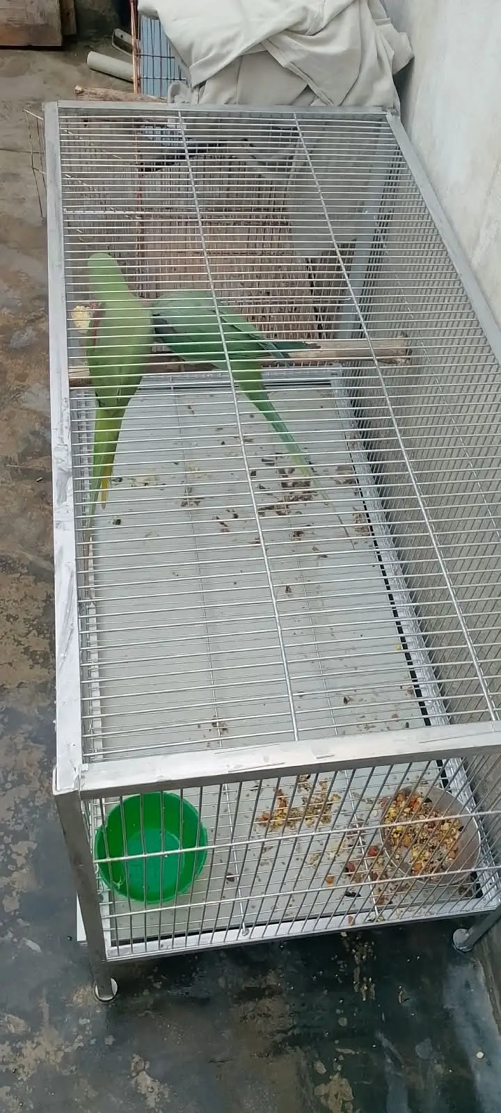 Green breader male ha or talking on mood — photo 3