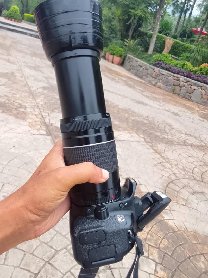 for sale 5