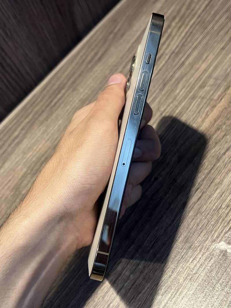 Apple iPhone 12 Pro Max 0