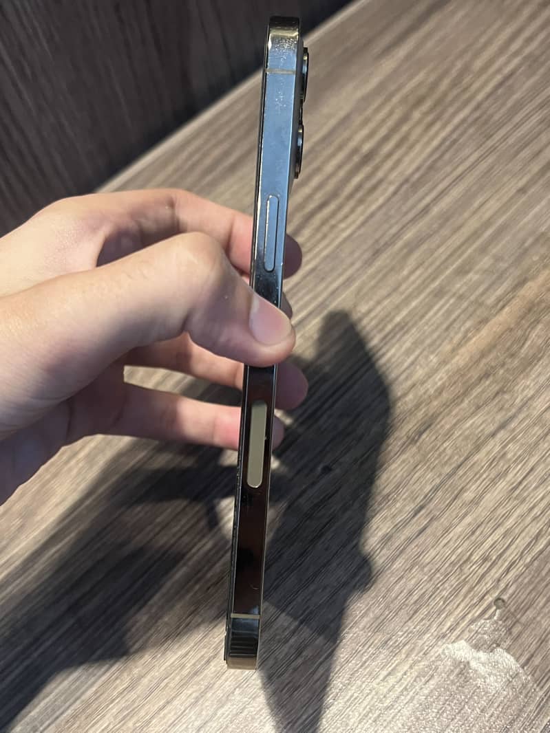 Apple iPhone 12 Pro Max 1