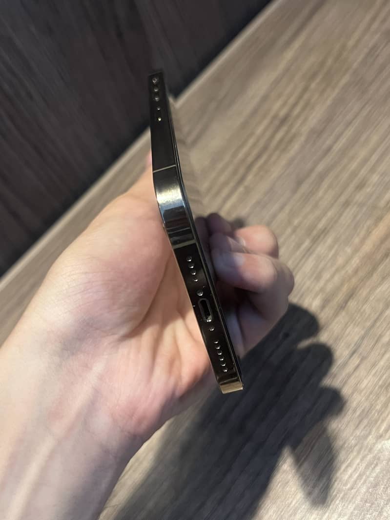 Apple iPhone 12 Pro Max 5