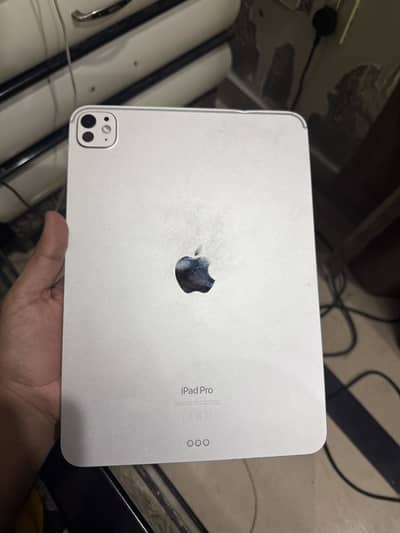 Ipad pro m4 11 inch 256gb