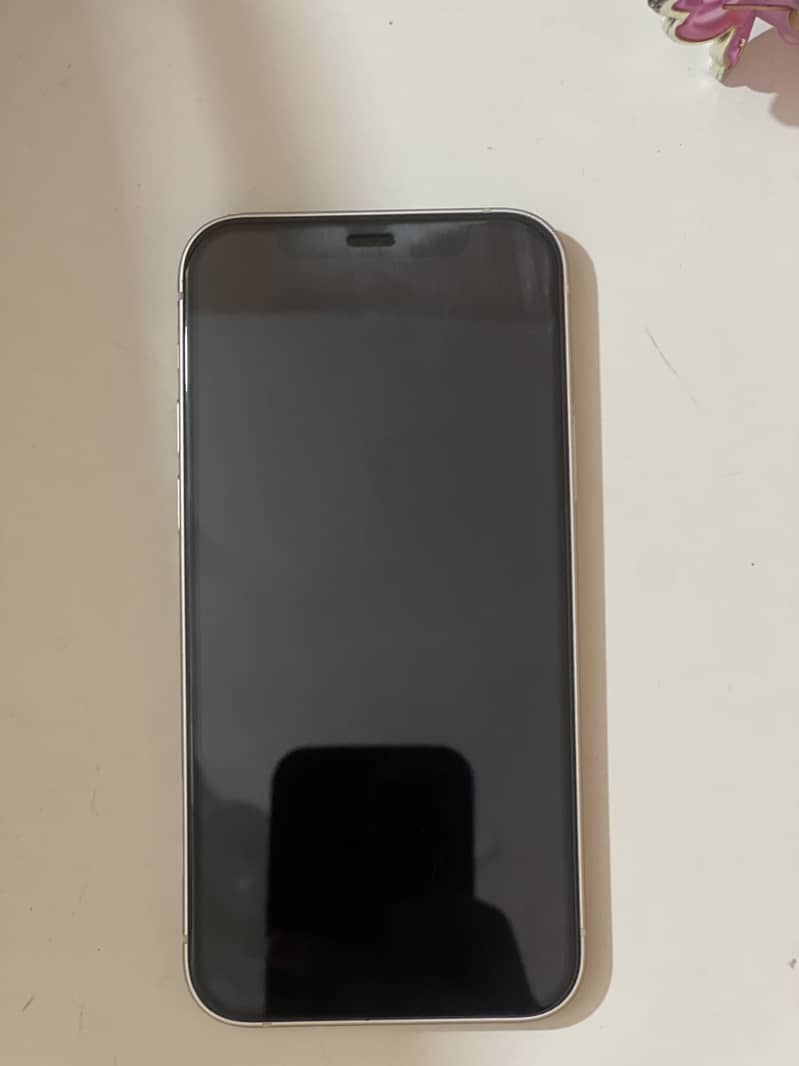 Apple iPhone 12 1