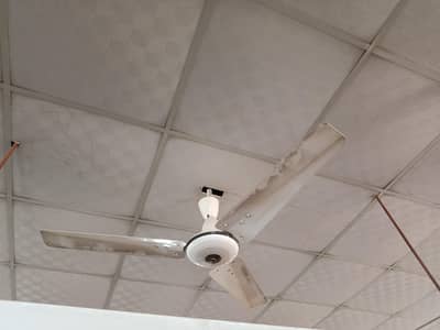 Ceiling Fans ( Pak Fan )