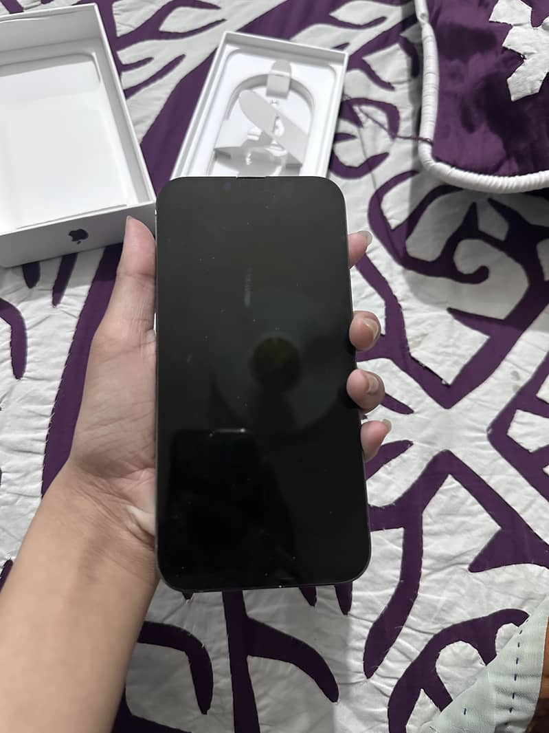 Apple iPhone 13 Pro Max 1