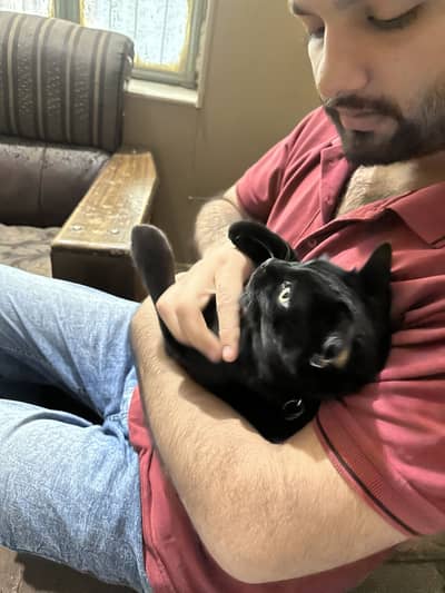 Blacky