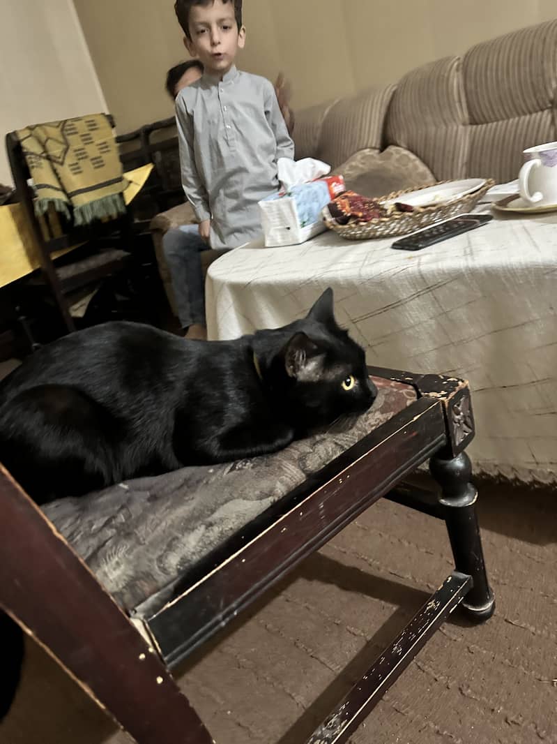 Blacky 1