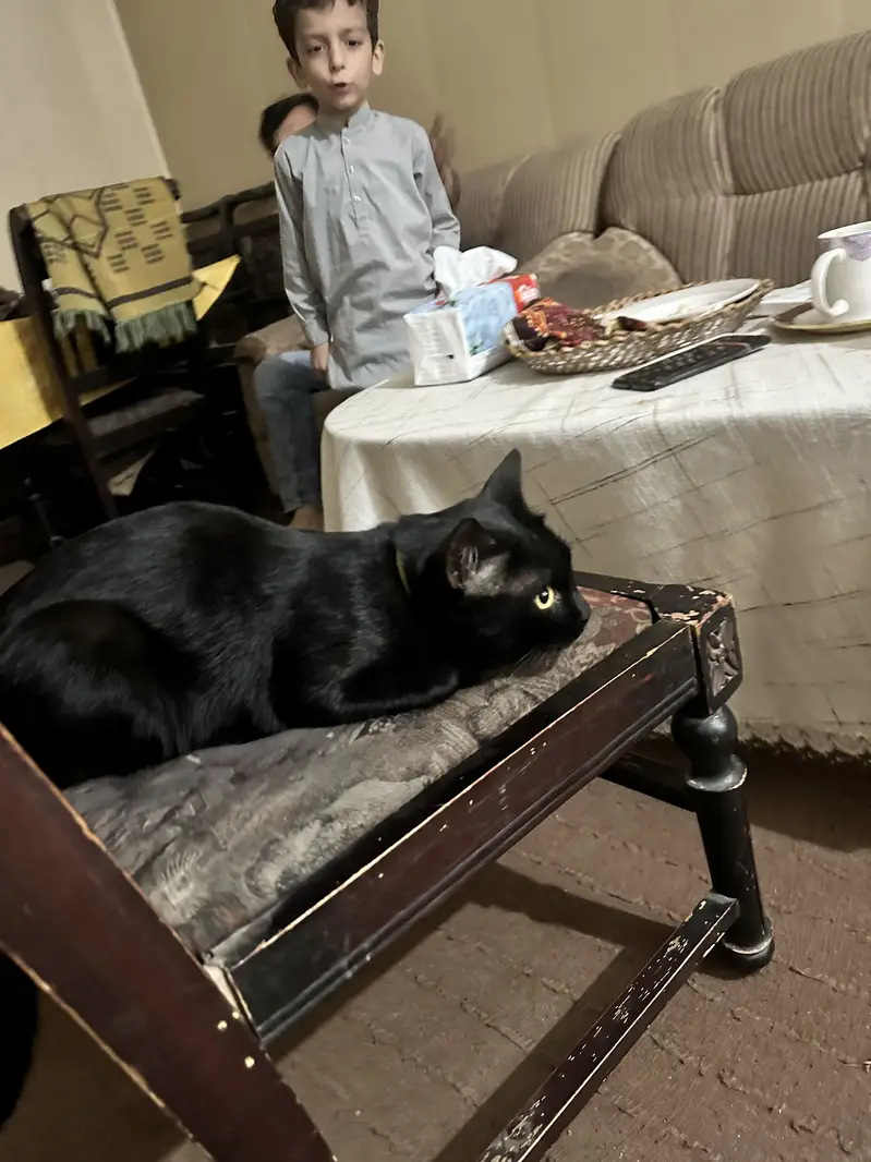 Blacky — photo 2