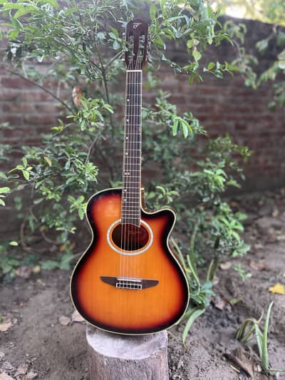 Original tagima solid board thrust rod naylon strings  guitar