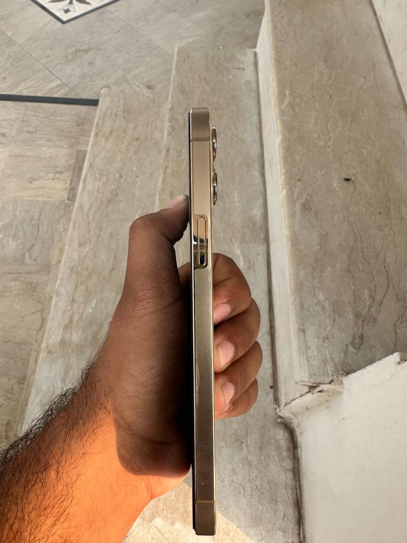 I pH 12 pro max 0