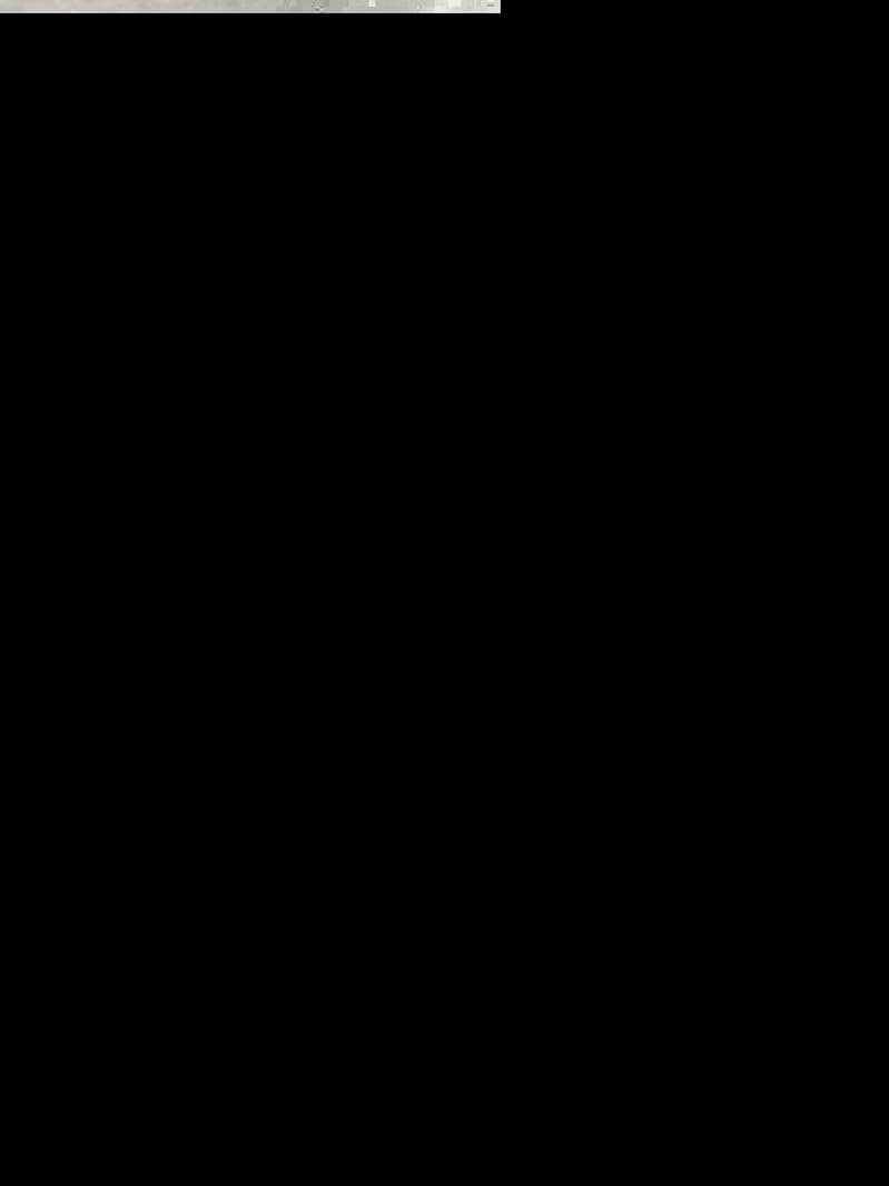 OPPO A95 4
