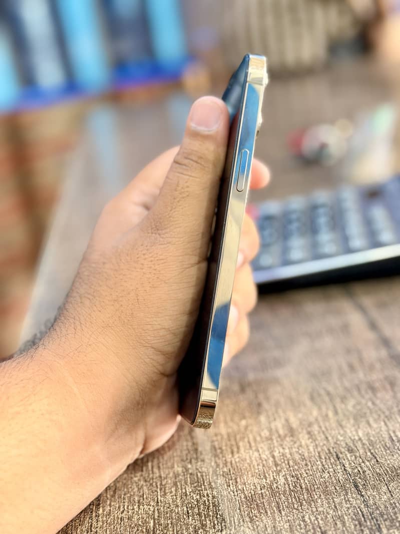 iPhone 12 Pro Max 1