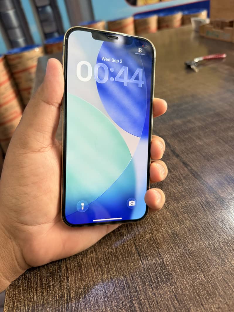 iPhone 12 Pro Max 2