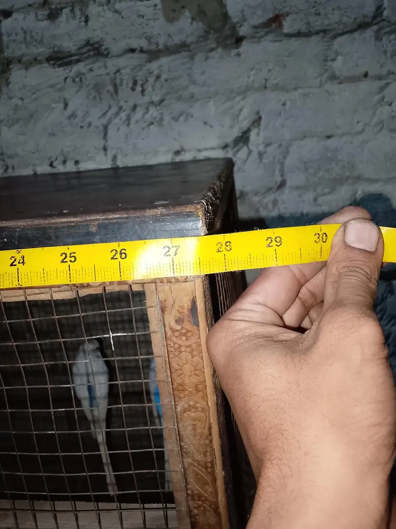 pinjra ka lkre ka size 28by 22. inch     lambai 29 inch — photo 4