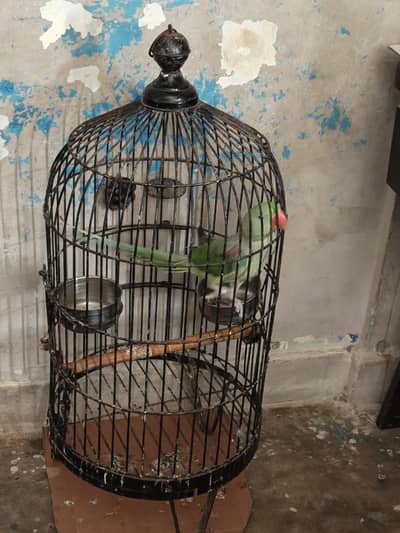 cage for sel