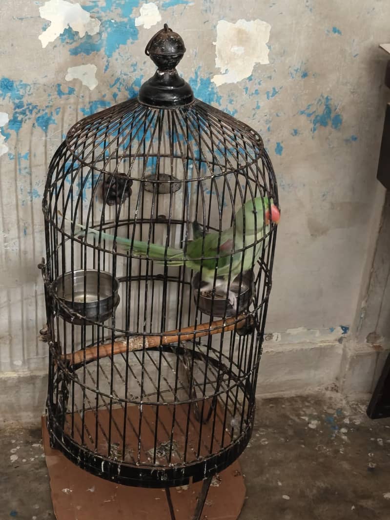 cage for sel 0