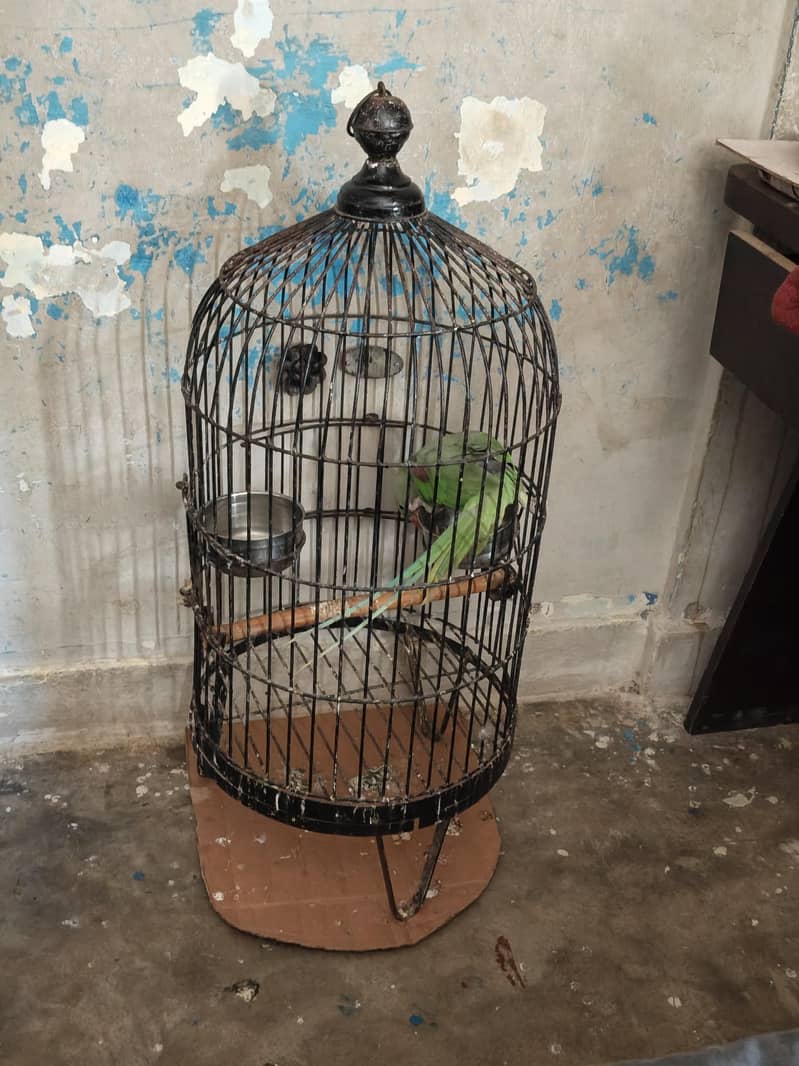 cage for sel 1