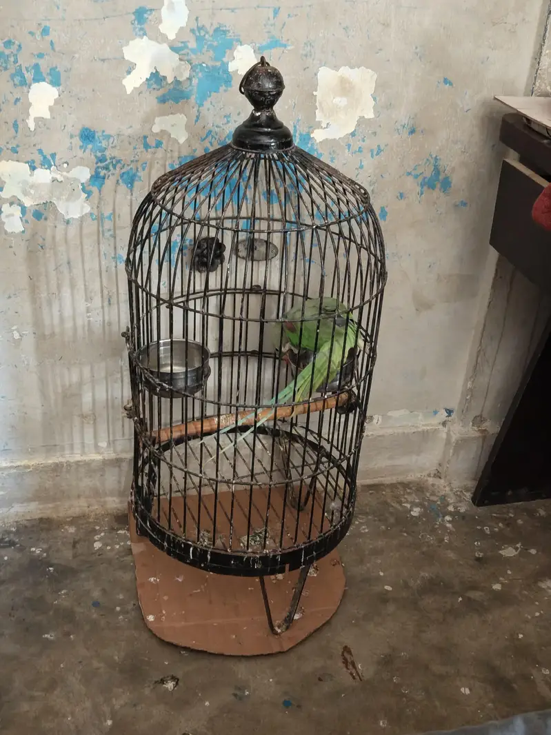 cage for sel — photo 2