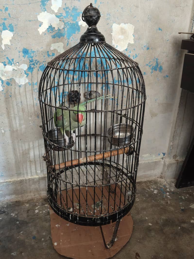 cage for sel 2