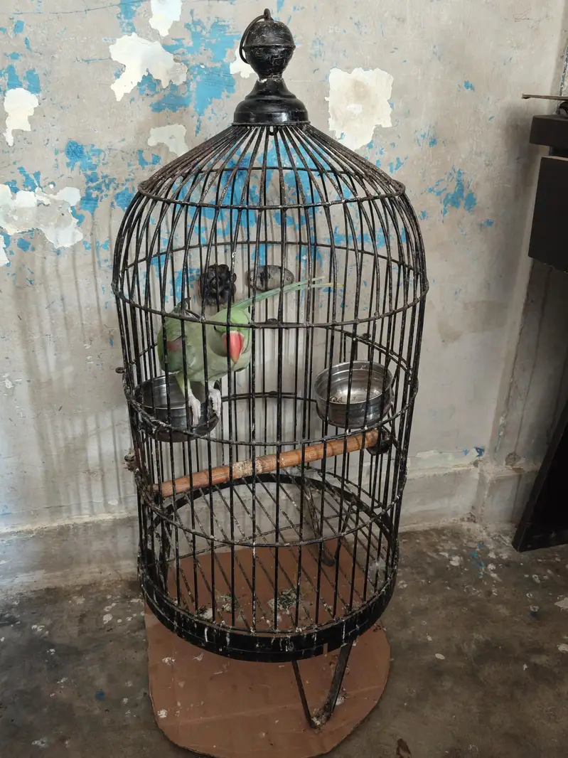 cage for sel — photo 3