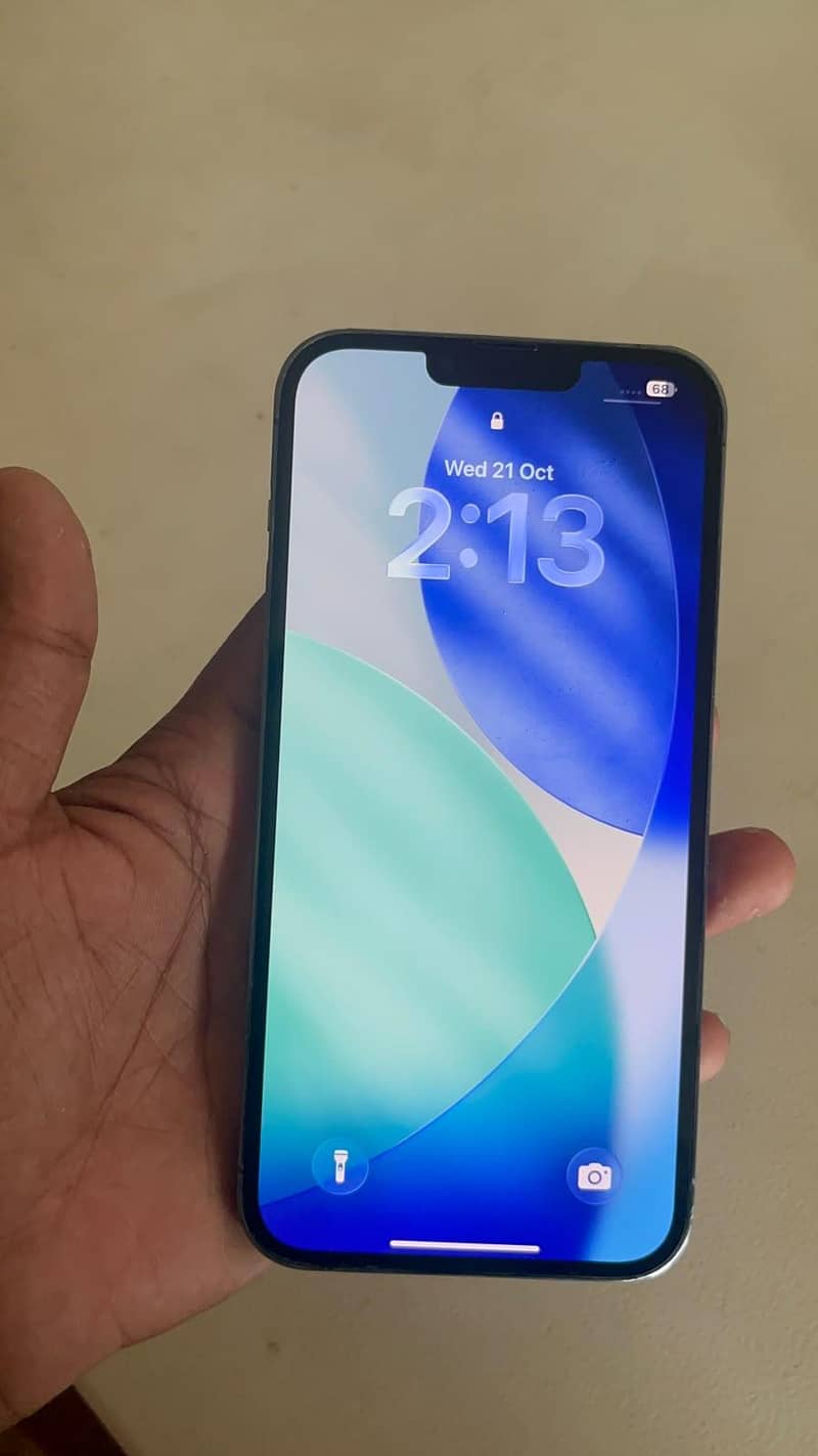 Apple iPhone 13 Pro Max 1