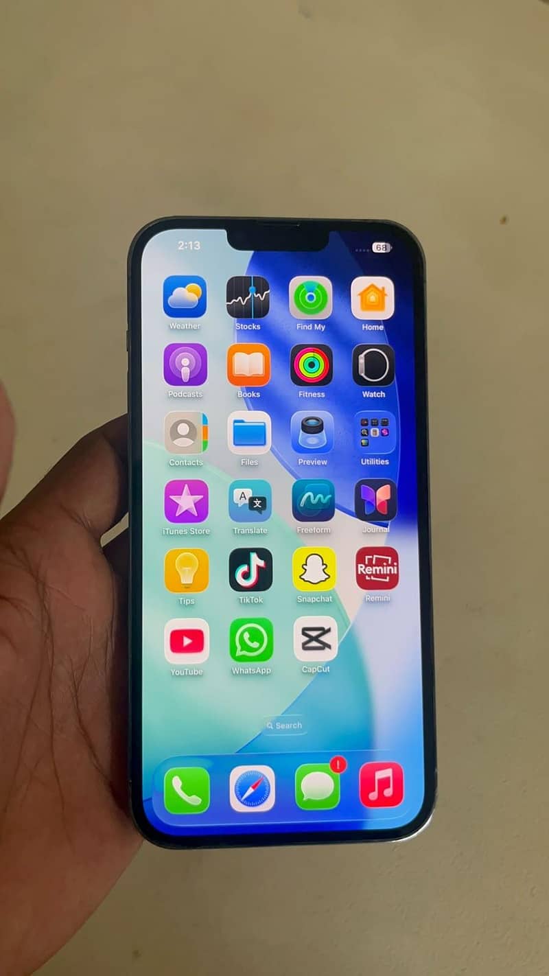Apple iPhone 13 Pro Max 6