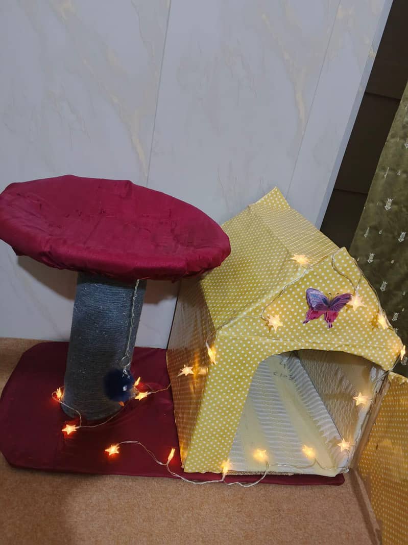Cat House 0
