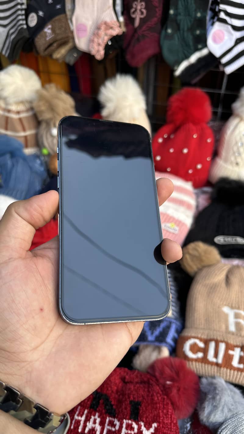 Apple iPhone 13 Pro Max 2