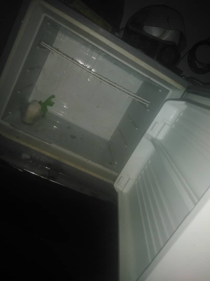 Fridge 1