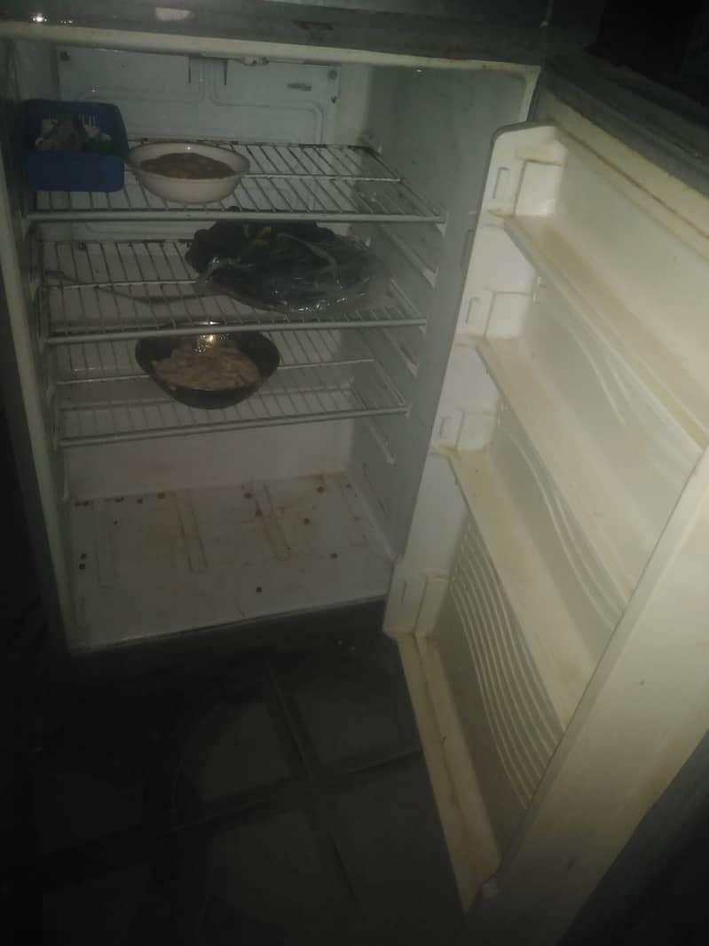 Fridge 2