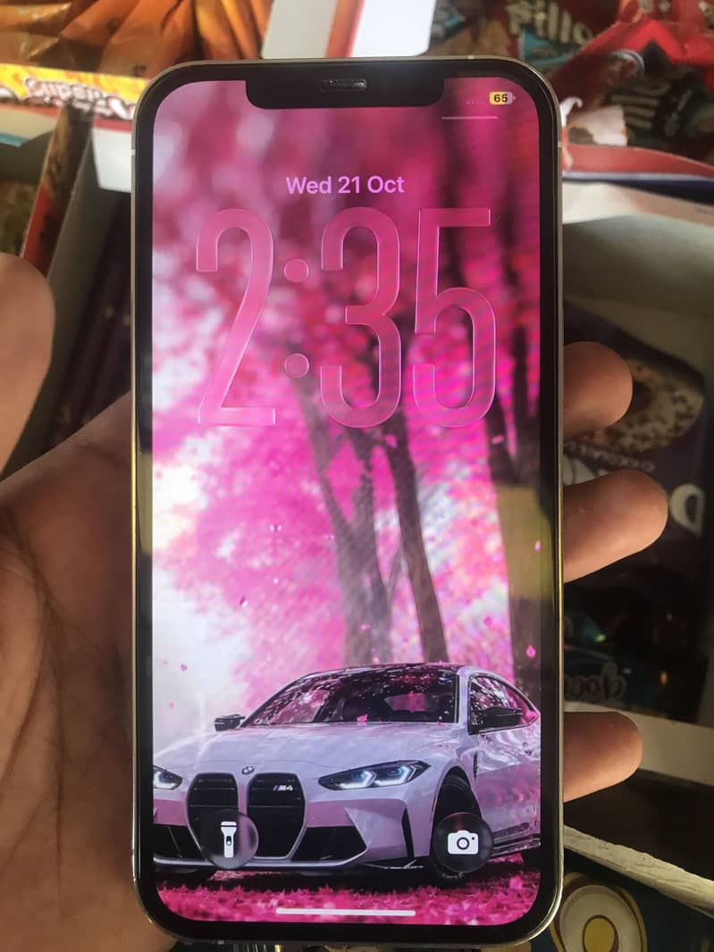 Apple iPhone 12 Pro Max 1