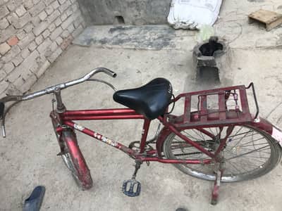 Cycle