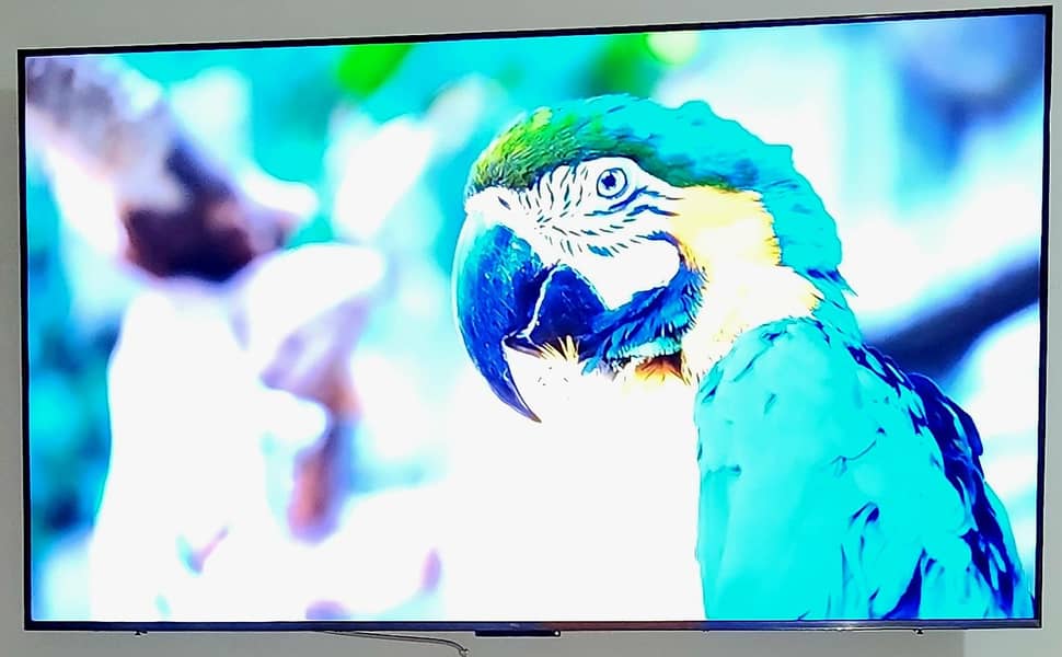 C6k Mini Led 4