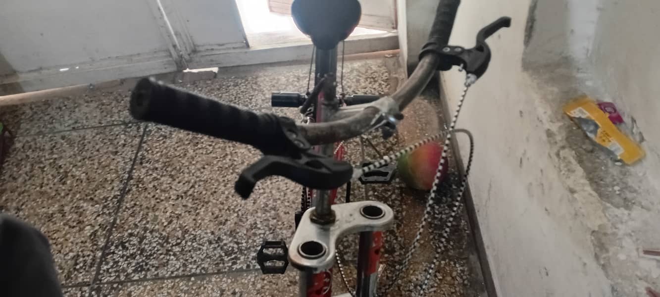 Good cycle 5