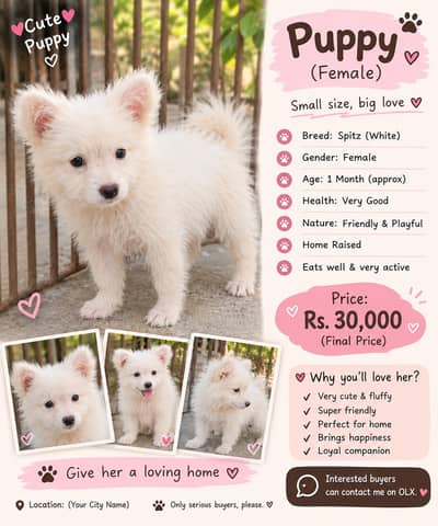 puppy sell